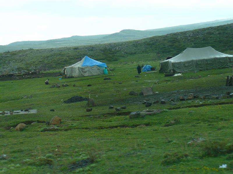 P1010354.JPG - Dèjà haut en altitude, un camp de Yézidis, une minorité nomade qui vit d'élevage